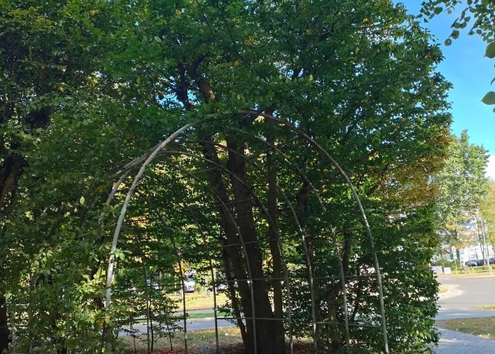 Prywatny W Hotelu Diwa W Strefie Kurortowej Z Klimatyzacja I Parkingiem Wcentrum u